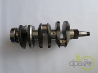 ARBORE MOTOR Fiat
