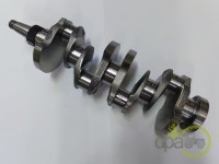 ARBORE MOTOR Fiat