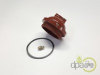 CAPAC PIULITA BUTUC Ford