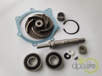 KIT REPARATIE POMPA APA Landini
