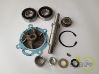 KIT REPARATIE POMPA APA Landini