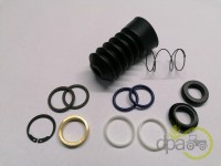 KIT REPARATIE POMPA FRANA Landini