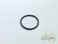 ORING PIVOT Fiat