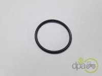 ORING PRIZA PUTERE Fiat