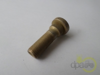 PREZON ROATA FATA Ford