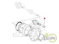 SAIBA PINION SATELIT FATA Fiat