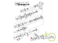 SEGMENT PRIZA PUTERE Steyr