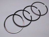 SEGMENTI MOTOR Steyr