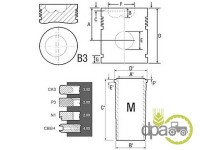 SET MOTOR Fendt