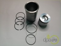SET MOTOR Renault