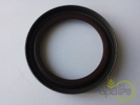 SIMERING FATA ARBORE MOTOR Fiat