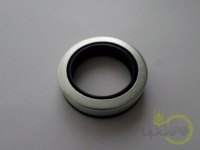 SIMERING PLANETARA FATA Case IH