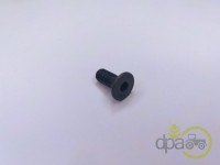 SURUB CAPAC REDUCTOR FATA Renault