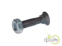 SURUB+PIULITA PLUG M12X40